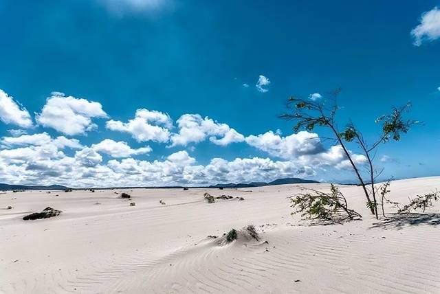 Local comercial en Alquiler en  Idalecio Prieto en Zona Centro