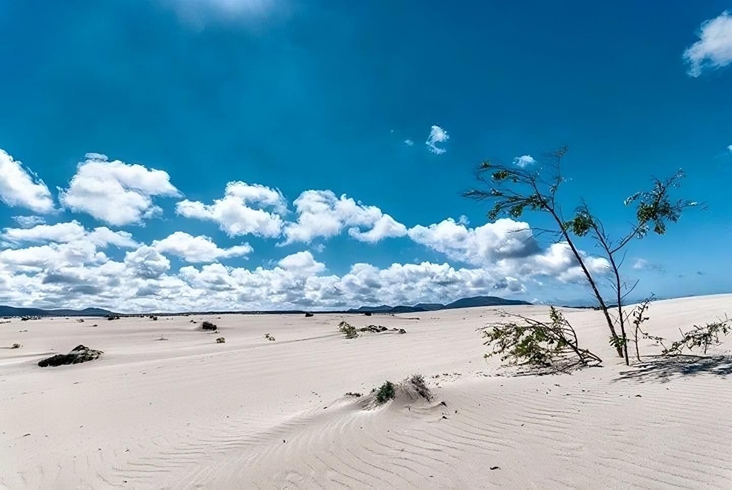Vista exterior de Local de alquiler en Puerto del Rosario