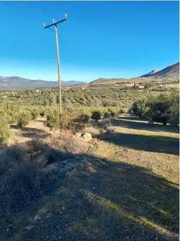 Terreny rústic en venda a Cogollos de la Vega, imagen 2