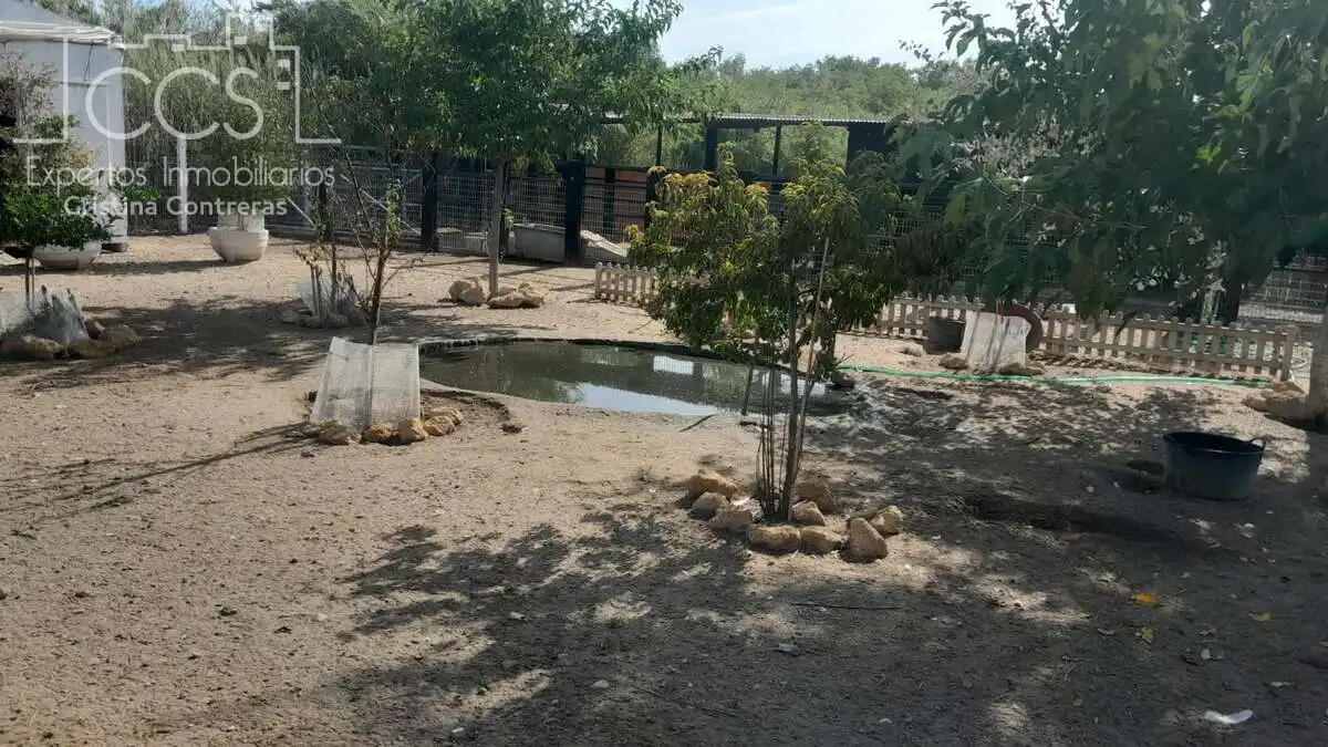 Casa rústica amb jardí en venda a Almonte ciudad, imagen 33