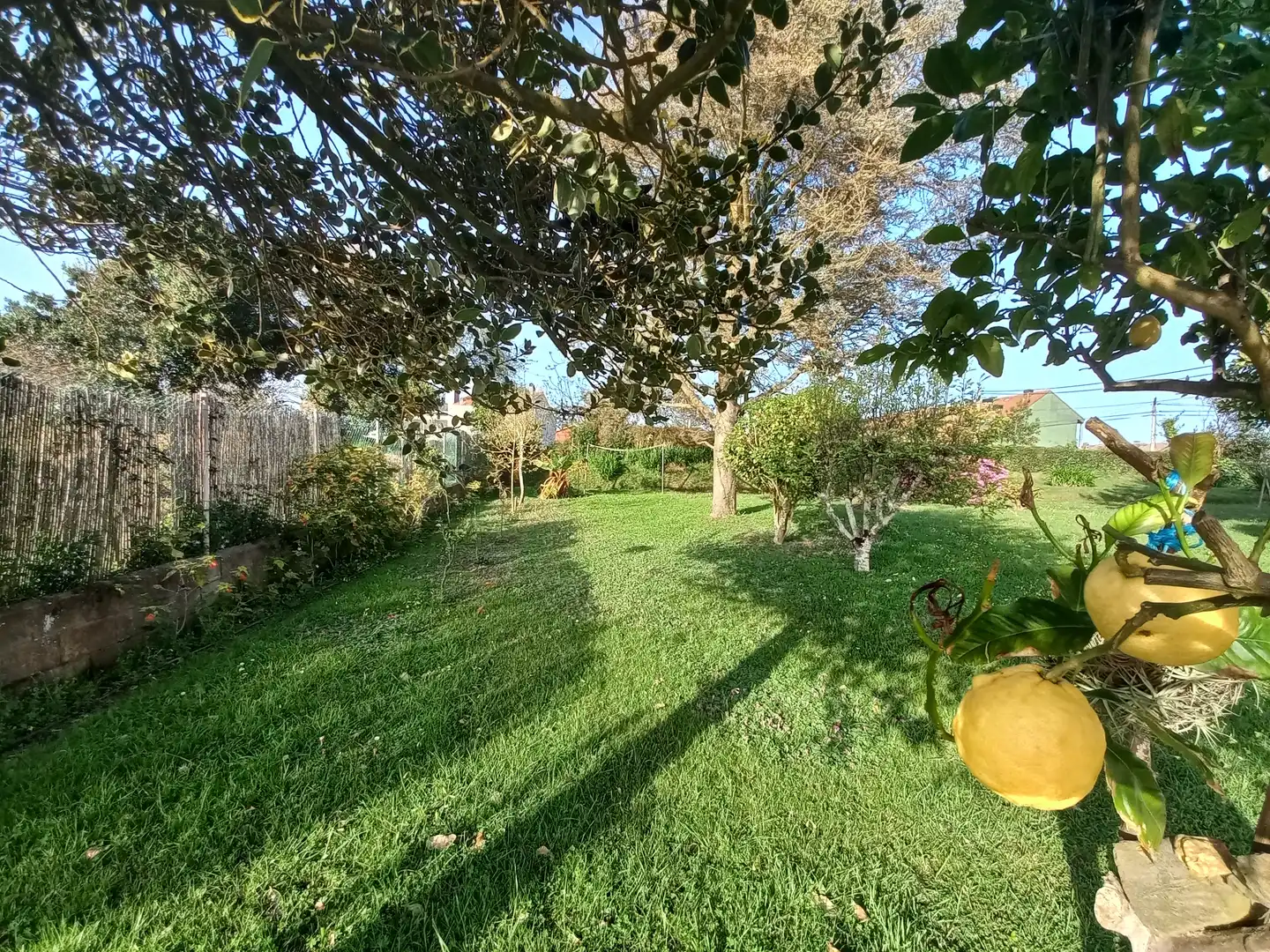 Jardí de Casa o xalet en venda en Oleiros amb Parquet, Terrassa i Traster
