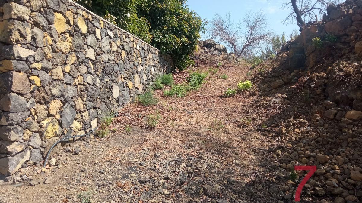 Finca rústica en venta en Santa Cruz de la Palma