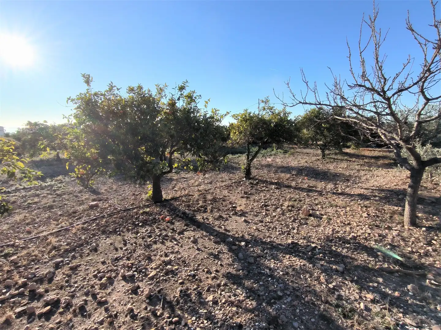 Terreno en venta en La Ràpita