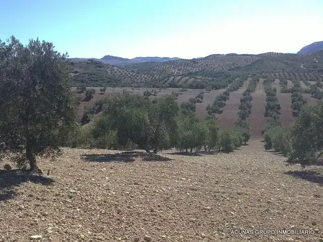 Lands and plots for sale in Bobadilla - Bobadilla Estación - La Joya, imagen 4