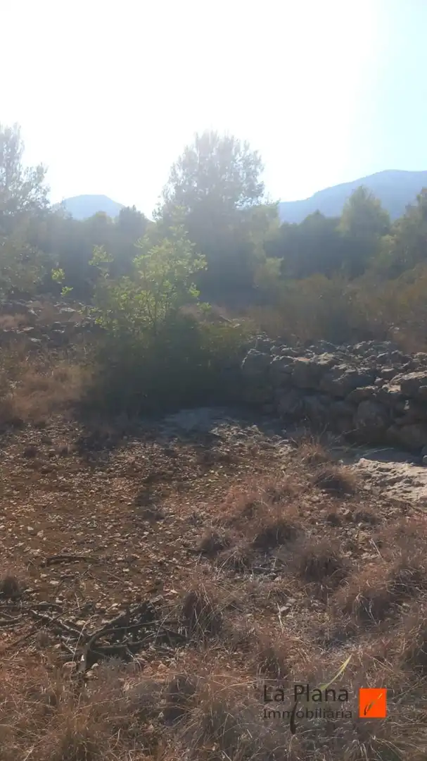 Terreno rustico in vendita a Alcanar, imagen 5