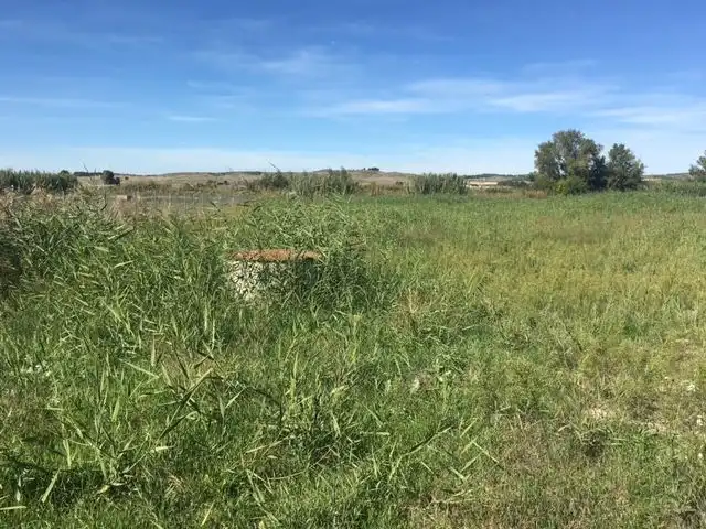 Rural land for sale in Chinchón, imagen 7