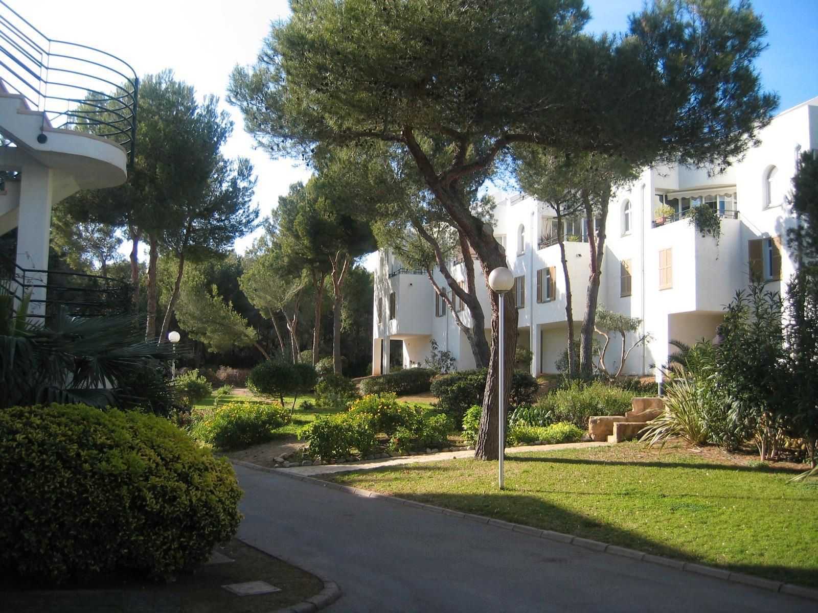 Jardí de Casa adosada en venda en Calvià amb Parquet, Terrassa i Piscina comunitària
