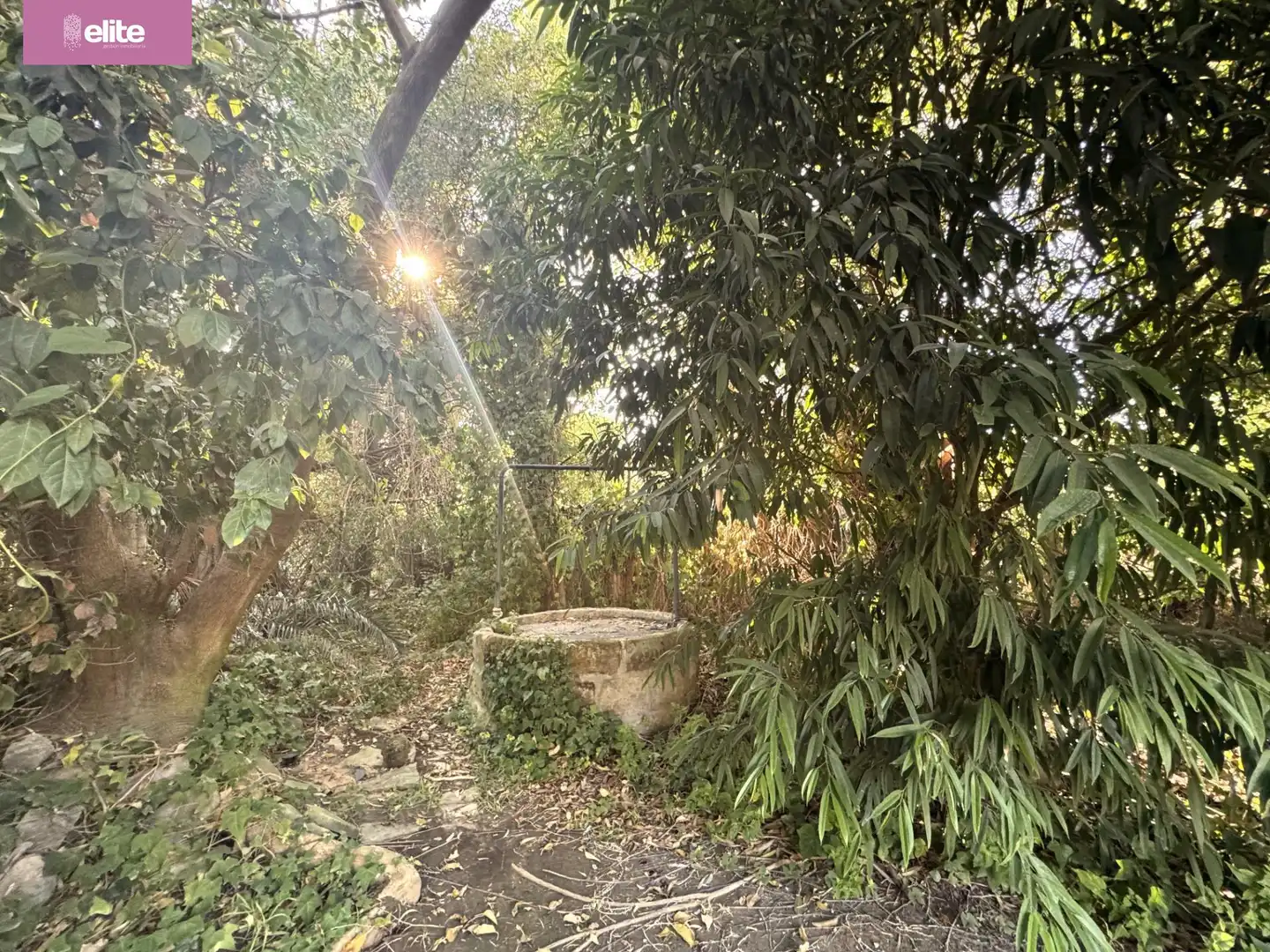 Detached house for sale in Avenida - Divina Pastora - Plaza de Toros, imagen 13