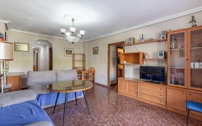 Sala d'estar de Pis en venda en  Granada Capital amb Terrassa