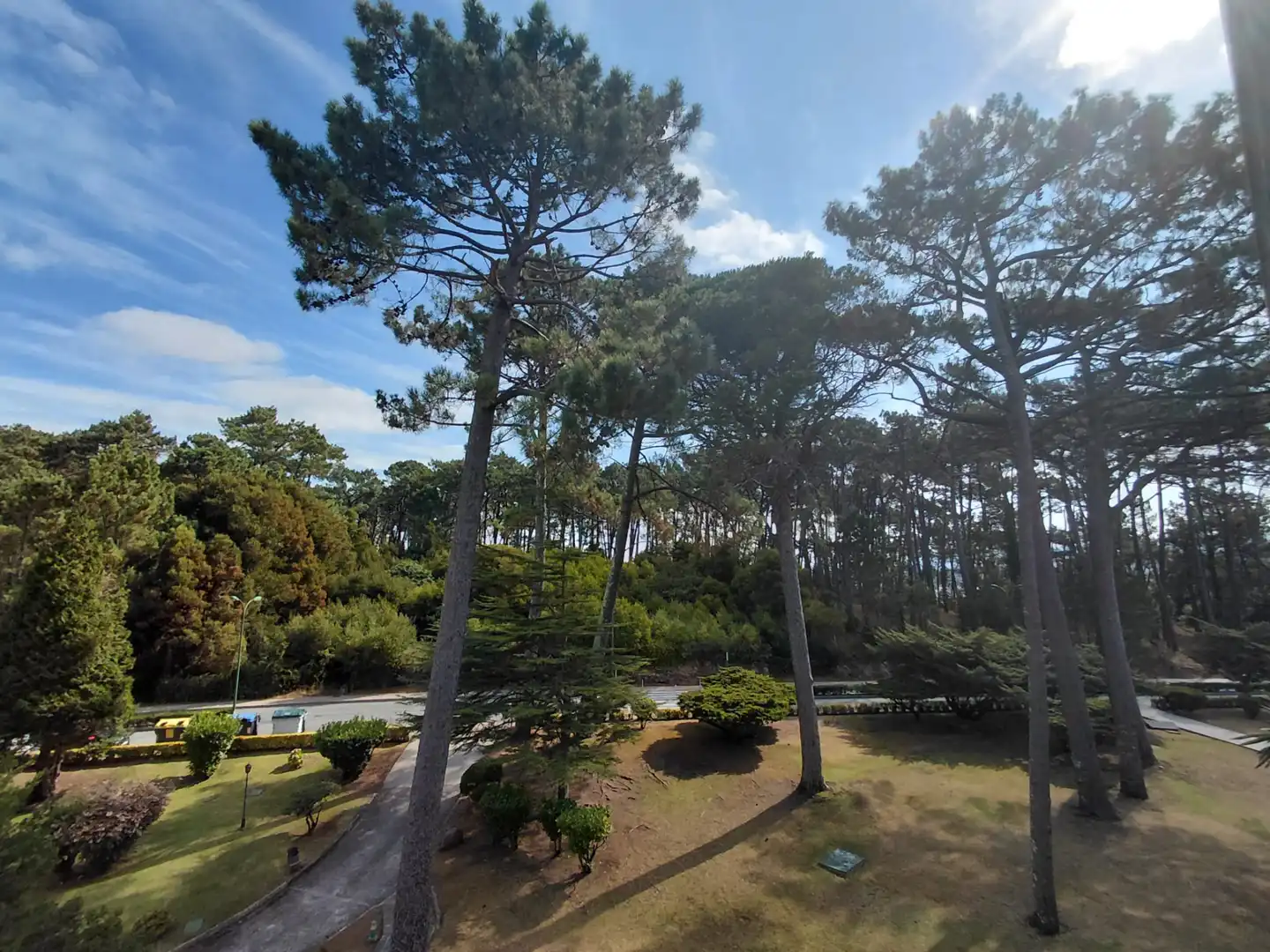 Jardín de Ático en venta en O Grove   con Jardín privado, Parquet y Piscina