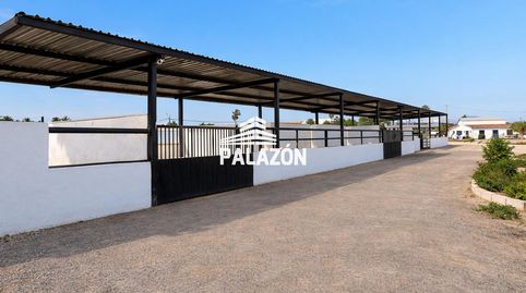 Finca rustica en venta, en Catral Alicante, immagine 3