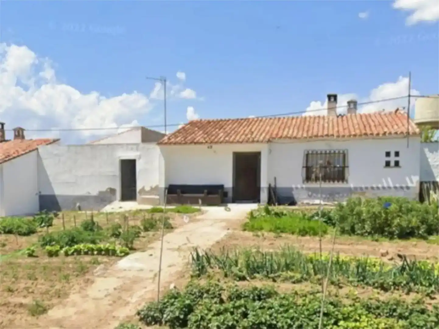 Vista exterior de Casa o xalet en venda en Riolobos amb Jardí privat i Piscina