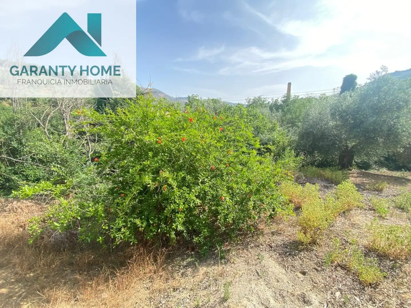 Terreno en venta en Valdepeñas de Jaén