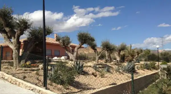 Detached house with pool for sale in Abanilla, imagen 5