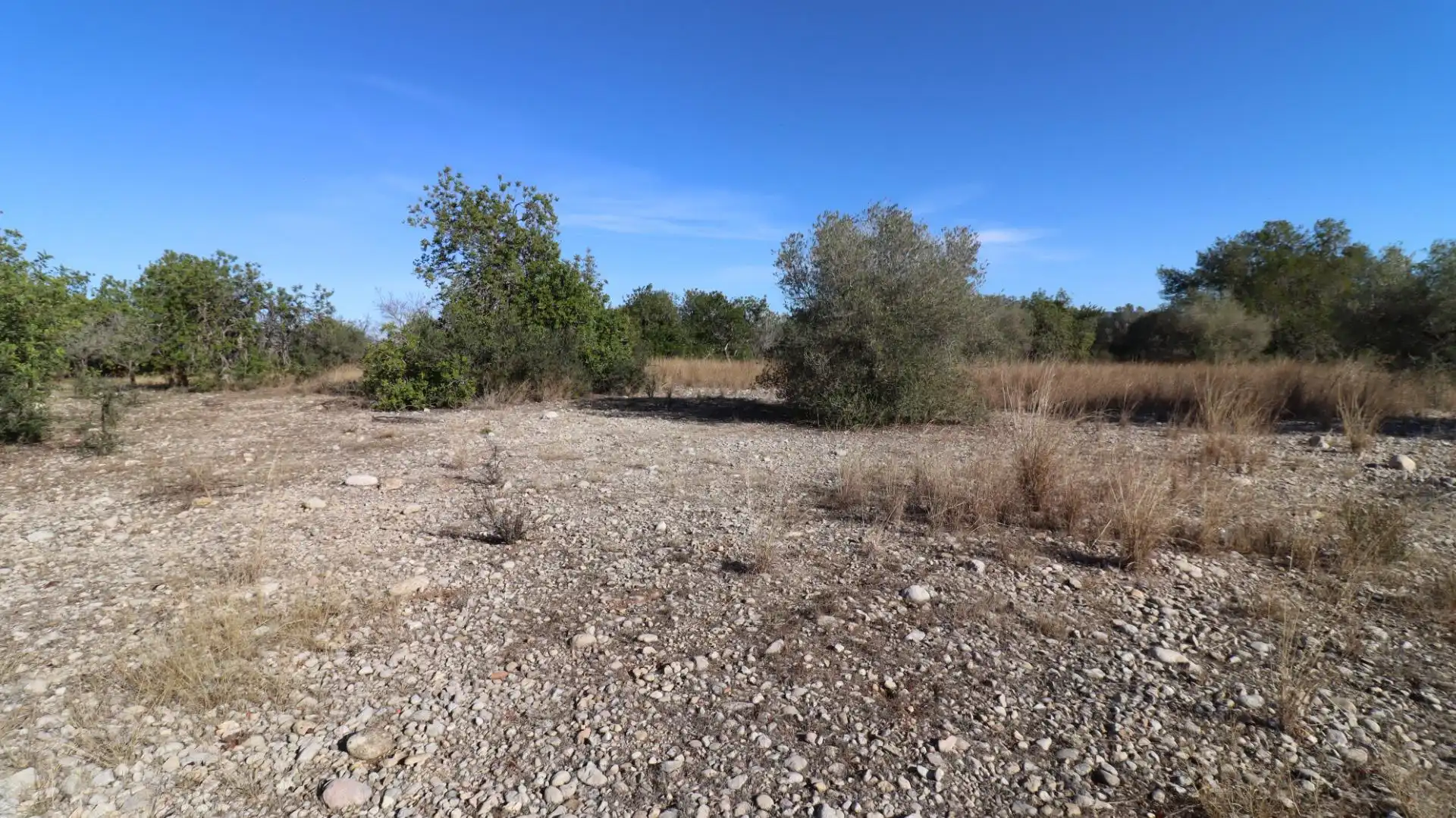 Rural land for sale in Partidas de interior - Zona Rústica, imagen 10