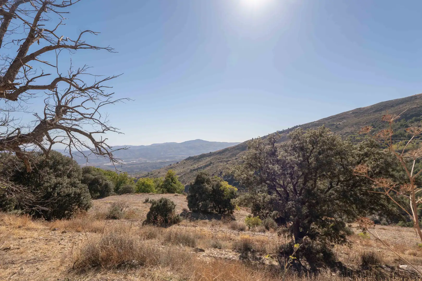 Finca rústica en venda en Válor amb Jardí privat i Terrassa