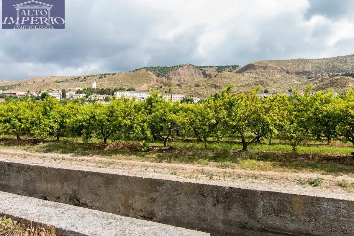 Vista exterior de Finca rústica en venta en Granada