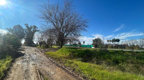 Photo 3 of Land for sale in Carretera Carretera Utrera Los Palacios, Estación - La Fontanilla - El Tinte, Utrera
