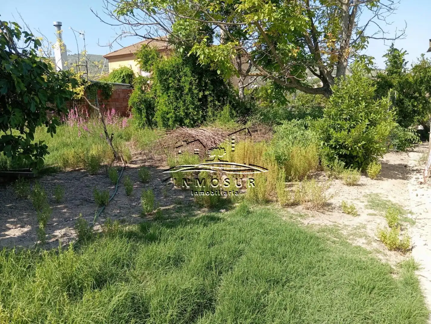 Terrain rustique à vendre à Centro, imagen 5