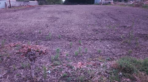 Foto 3 von Residential zum Verkauf in Sandin, 27, Quintes - Arroes, Villaviciosa