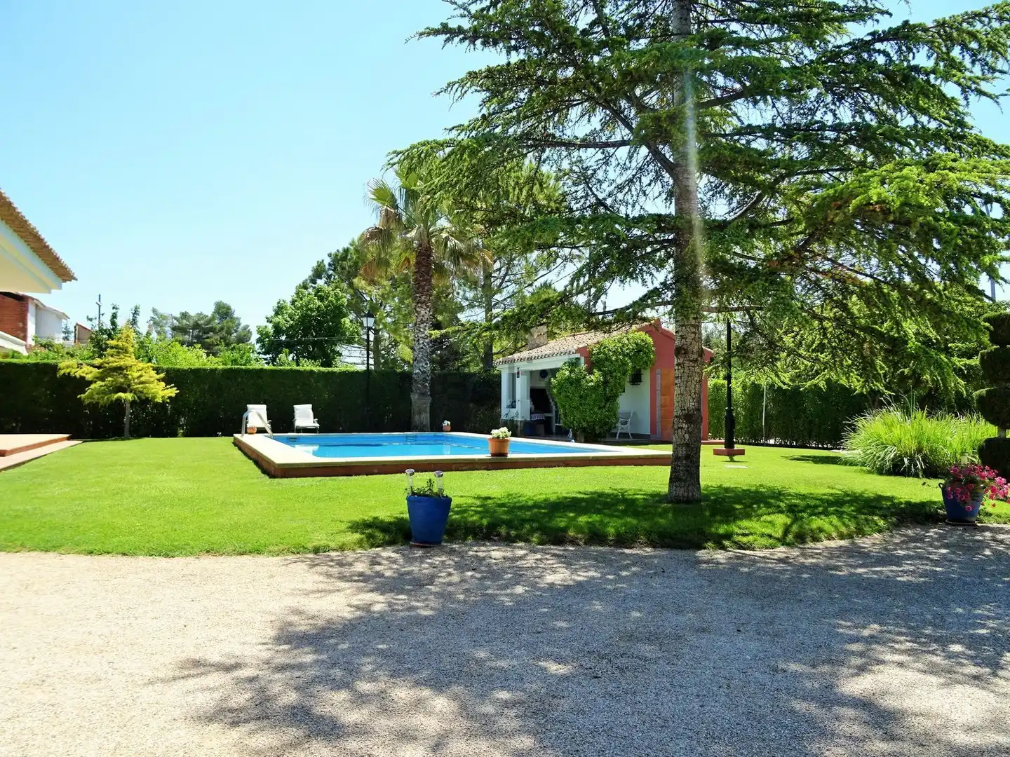 Jardí de Casa o xalet en venda en Albacete amb Aire condicionat, Jardí privat i Terrassa