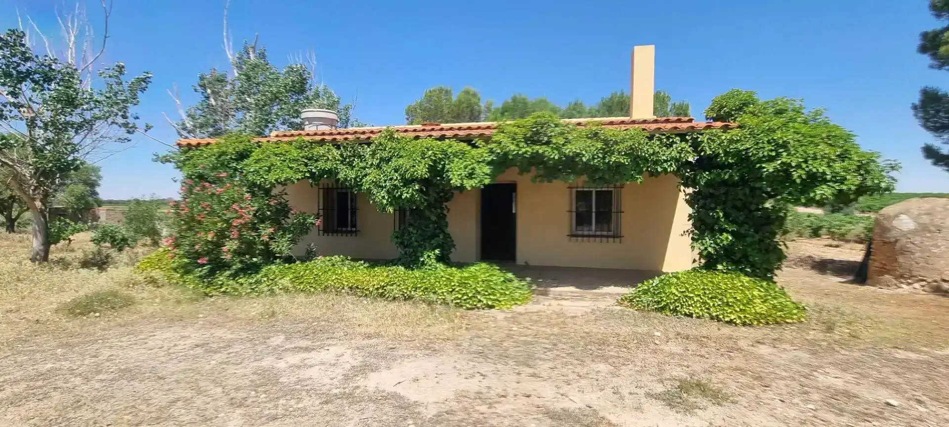 Vista exterior de Finca rústica en venda en Villarrobledo amb Piscina