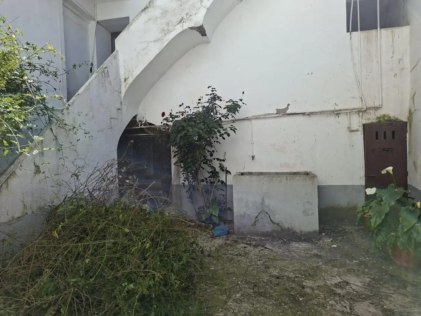 Casa amb terrassa en venda a El Carpio, imagen 42
