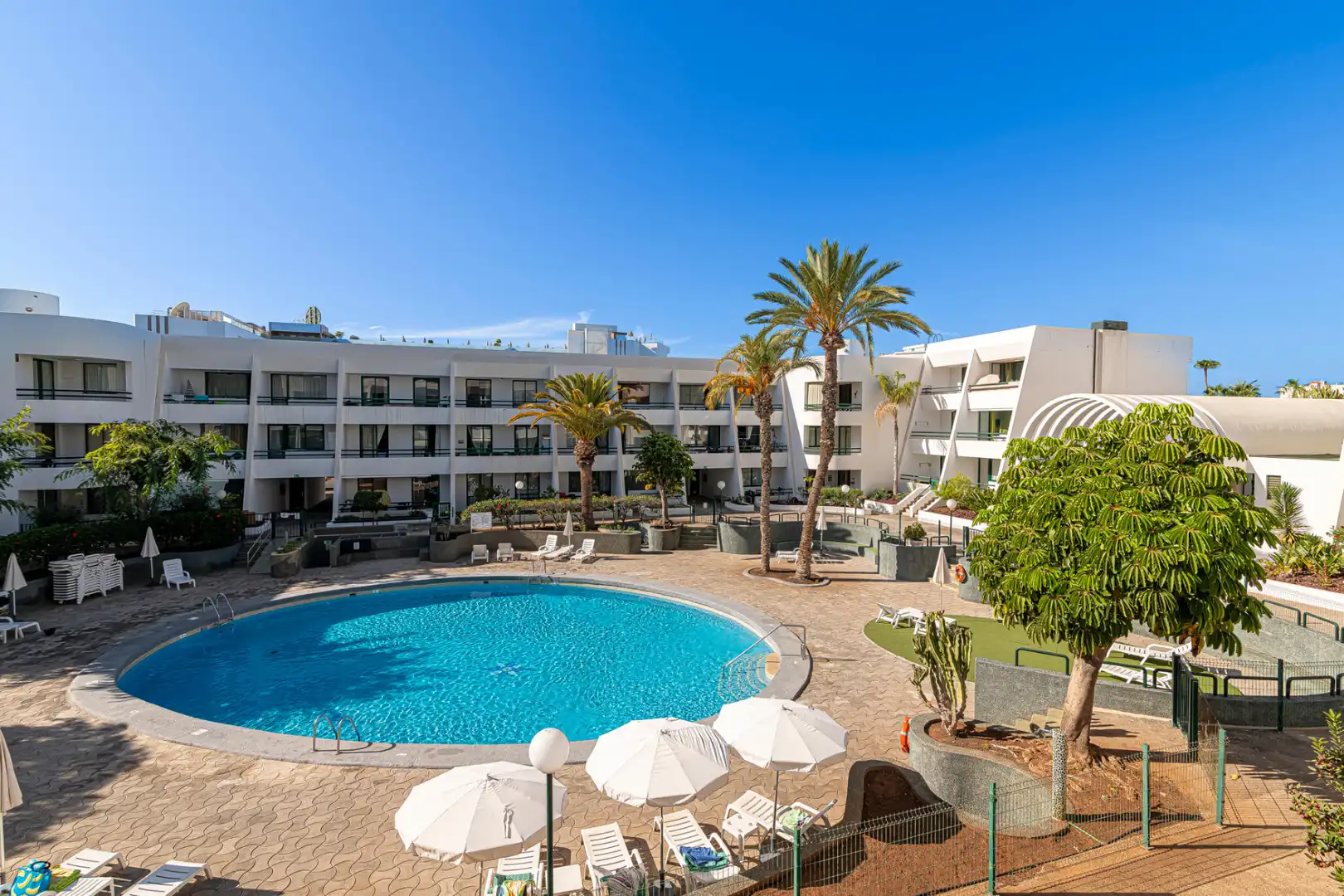 Swimming pool of Flat for sale in Playa de las Américas