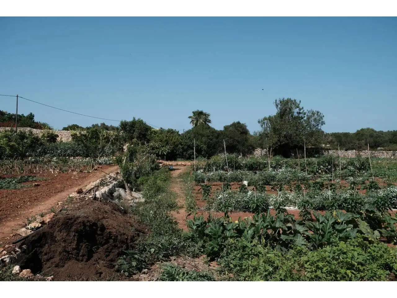 Jardín de Finca rústica en venta en Ciutadella de Menorca con Jardín privado y Piscina