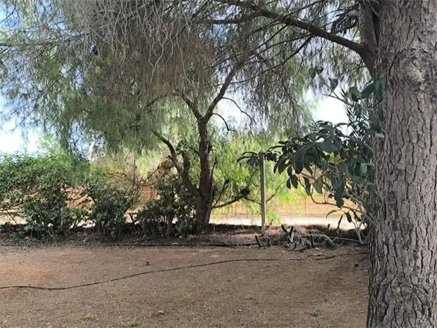 Pis en venda en Cartagena amb Aire condicionat, Jardí privat i Piscina