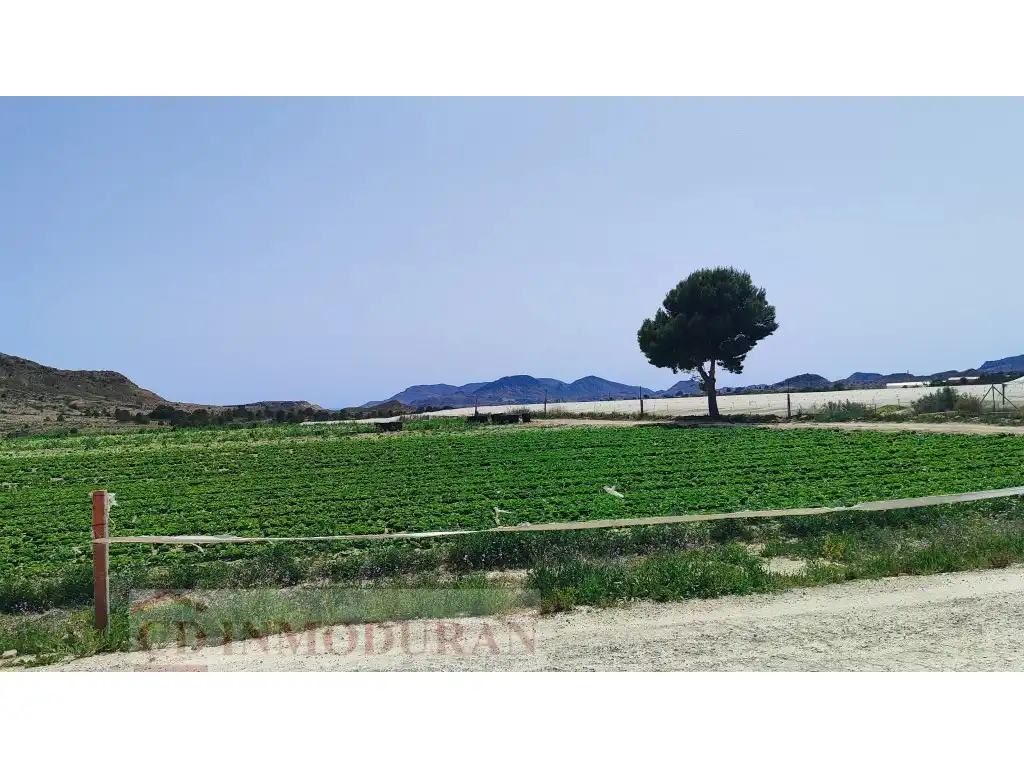 Terreno rustico in vendita a Carrer Ibi, imagen 2
