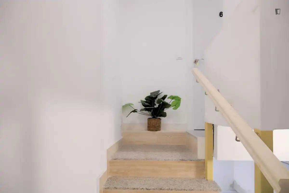 Study for rent in Opañel