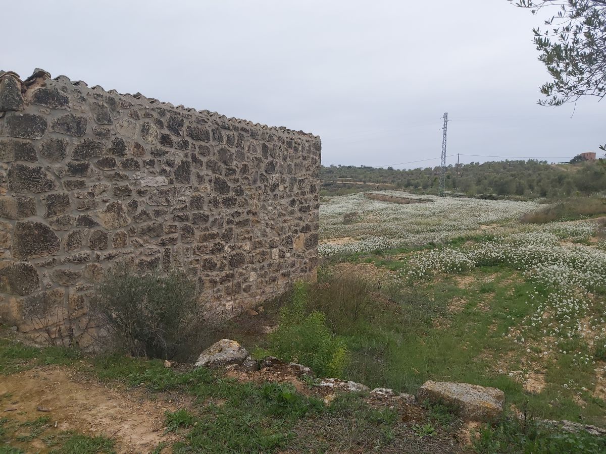 Country house zum Verkauf in Maials