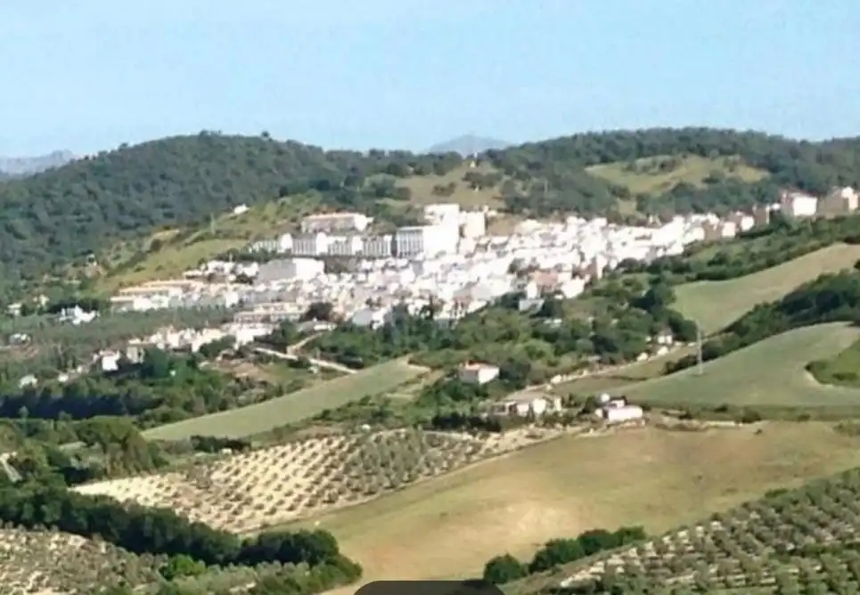 Vista exterior de Terreno en venta en Villamartín