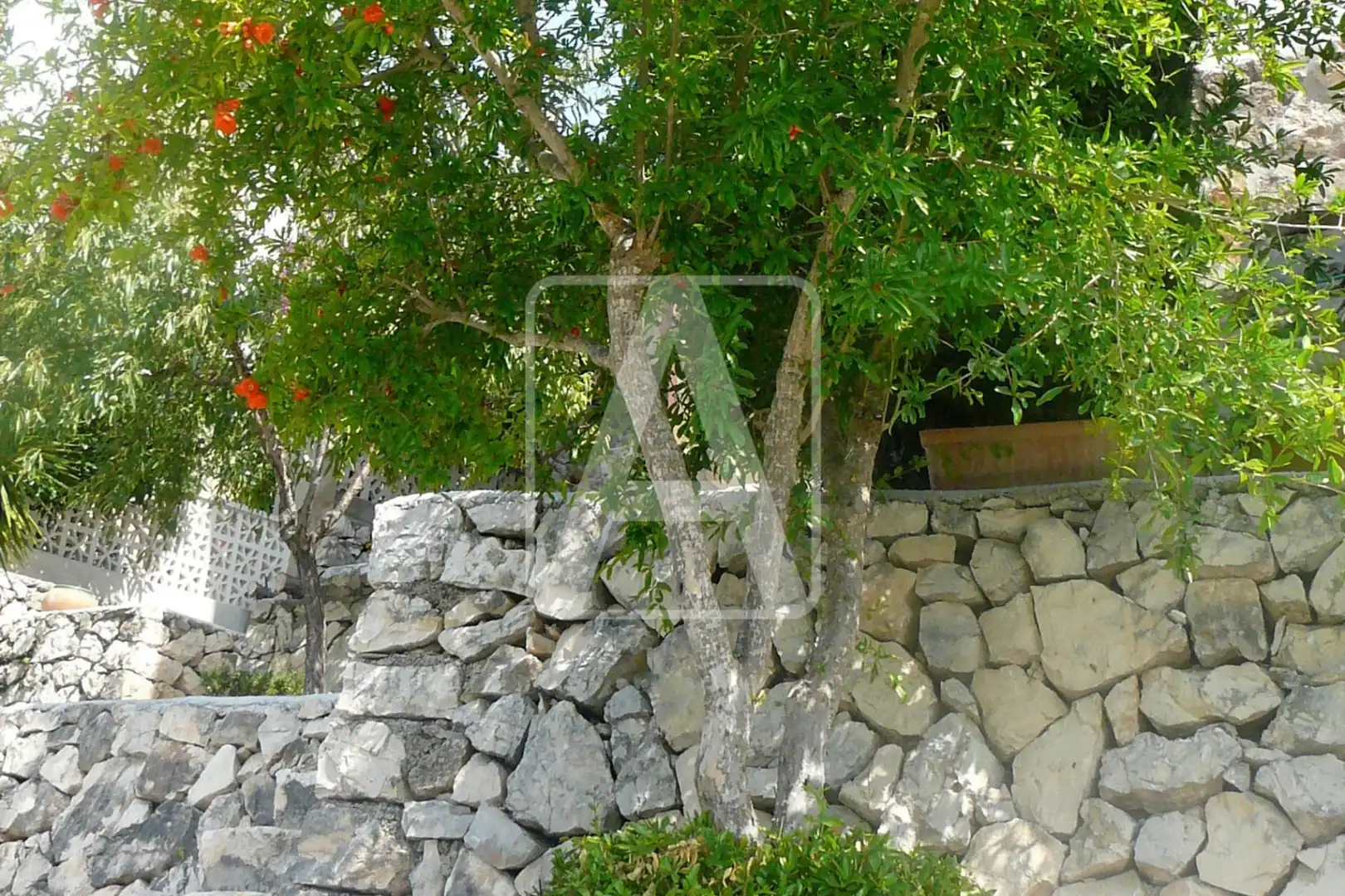 Villa con piscina in vendita a La Viña - Montemar - San Jaime, imagen 56