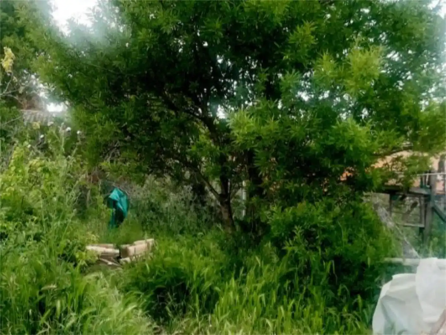 Finca rústica en venda en Vezdemarbán
