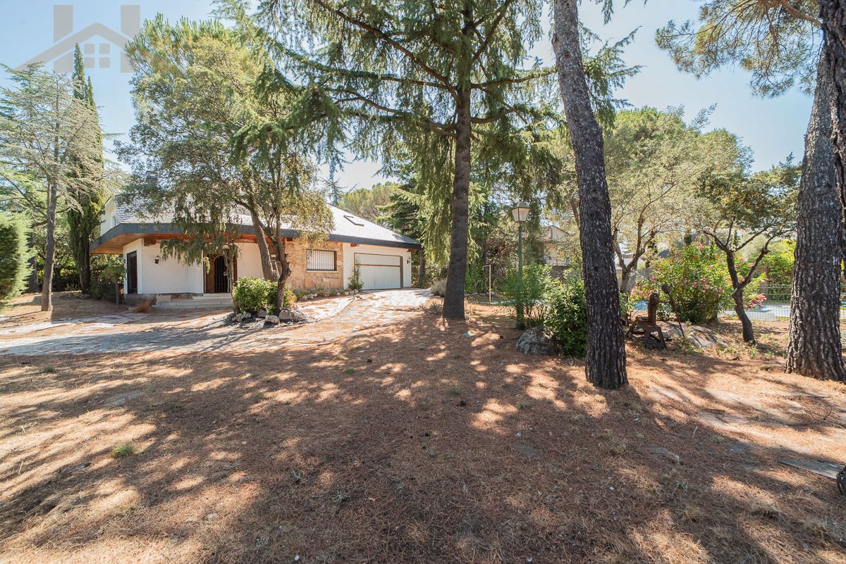 Vista exterior de Casa o xalet en venda en Galapagar amb Terrassa, Traster i Piscina