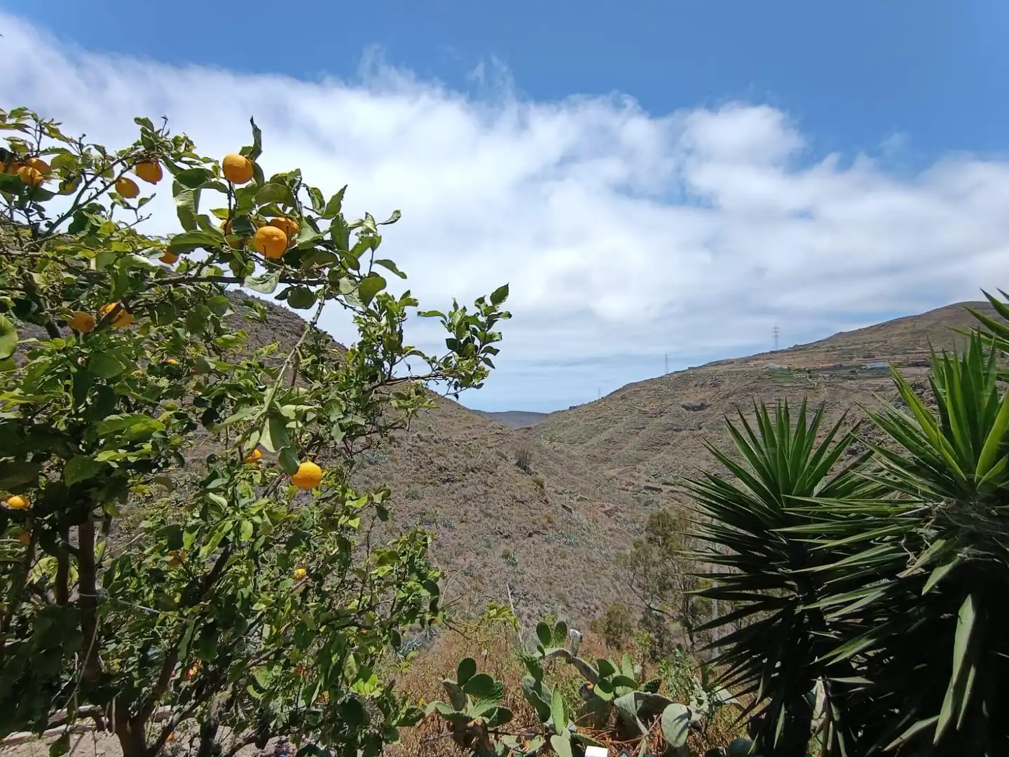 Vista exterior de Finca rústica en venta en Valsequillo de Gran Canaria con Terraza