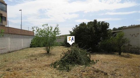 Imagen 5 del anuncio