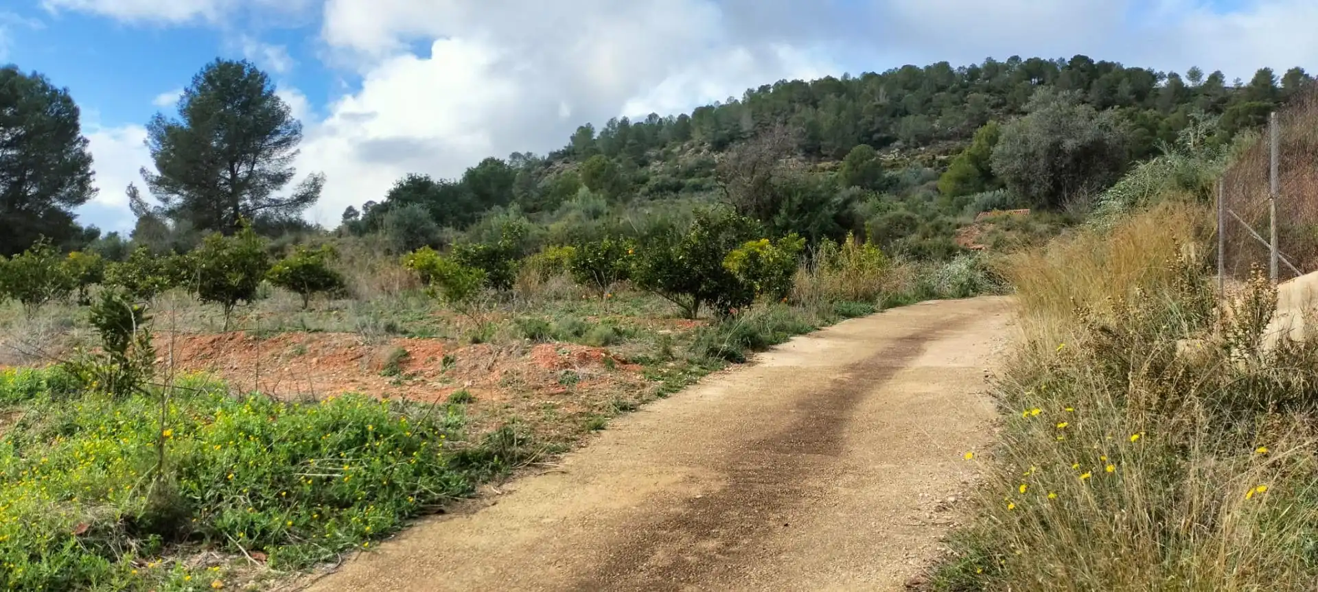 Land for sale in Rotglà i Corbera