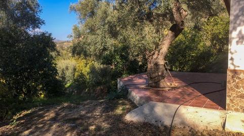 Foto 3 de Finca rústica en venda a Lecrín, Granada