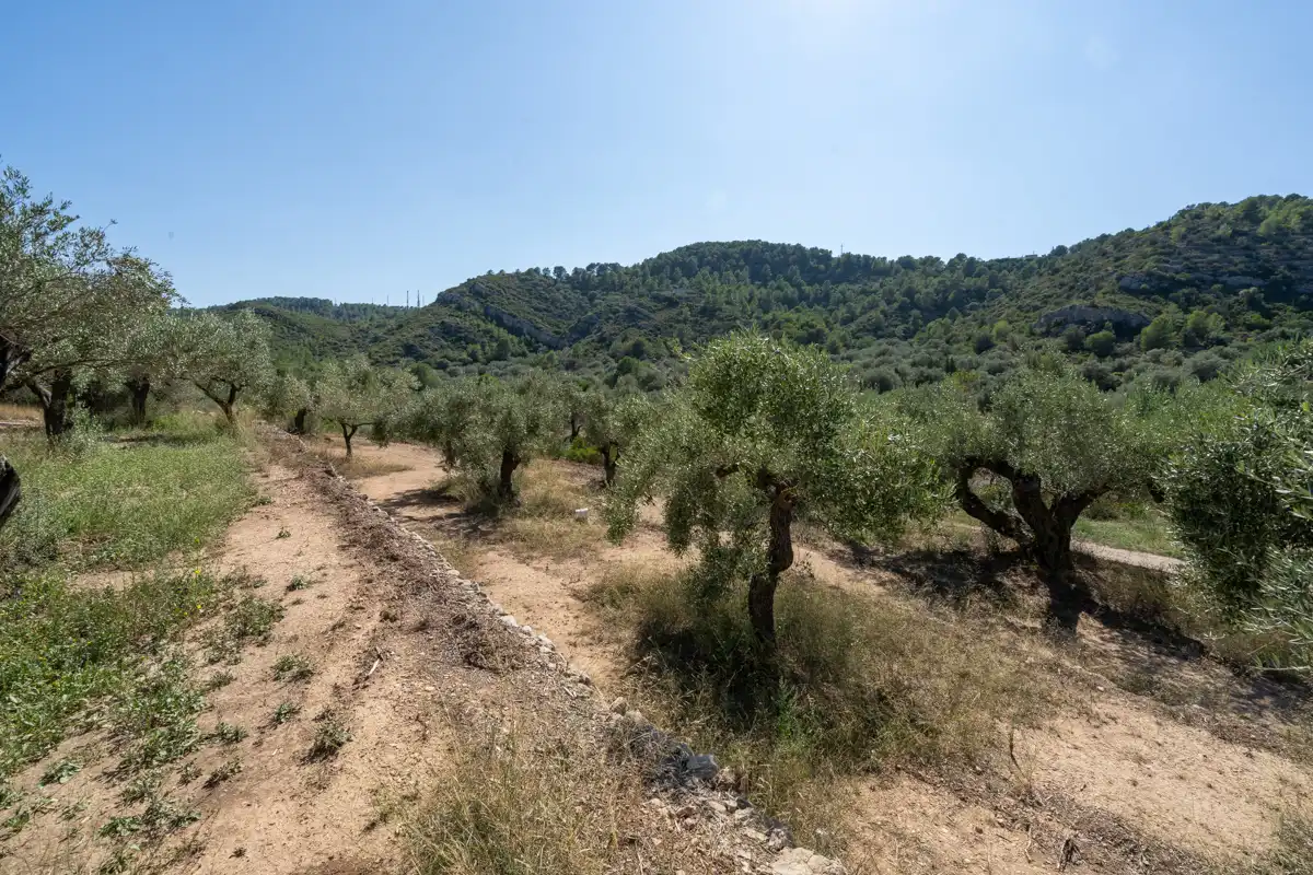 Finca rústica en venda en Tortosa amb Terrassa