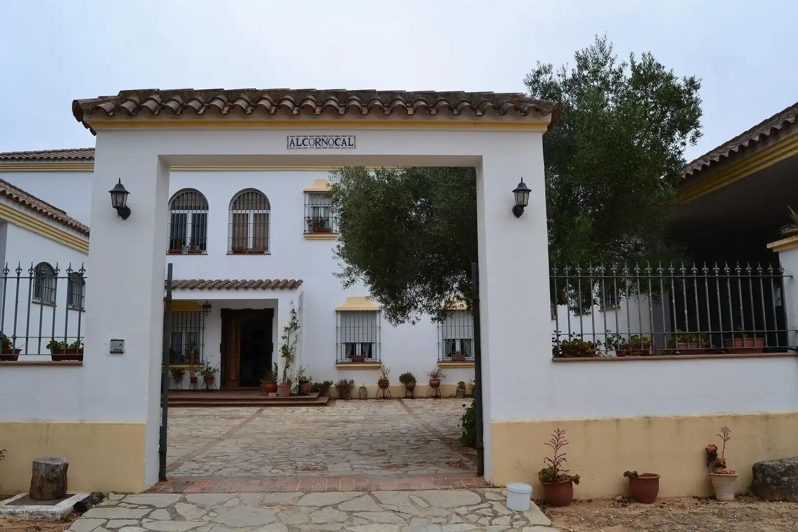 Casa rústica amb piscina en venda a Arcos de la Frontera, imagen 5