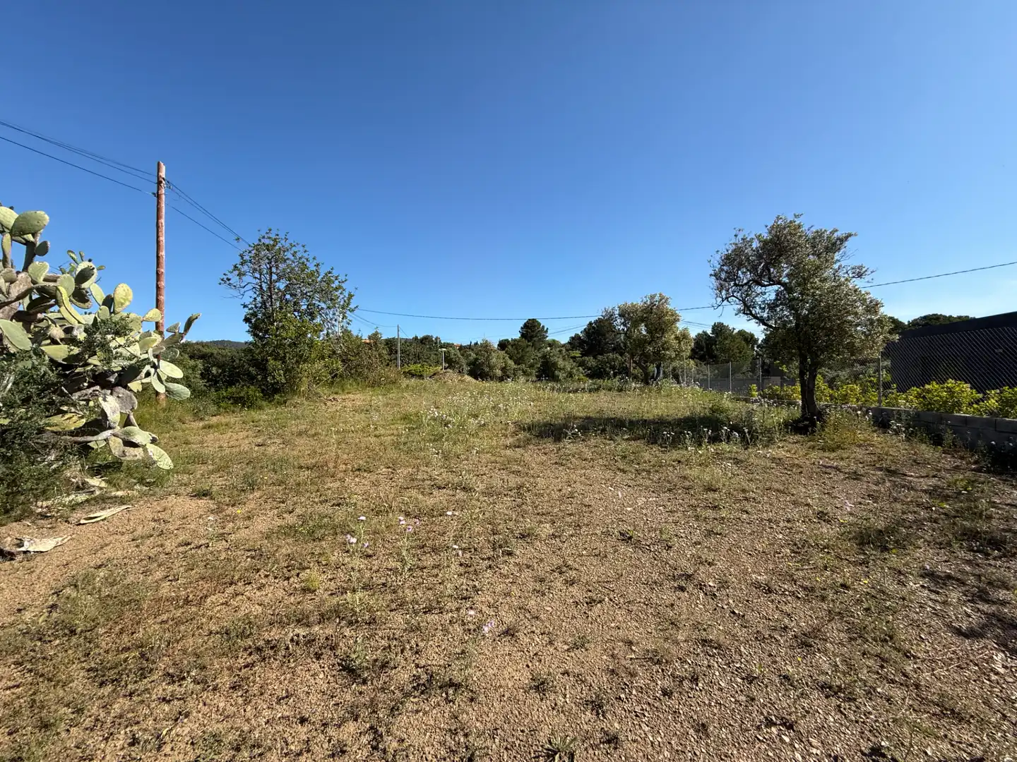 Terreny residencial en venda a Carrer dels Roures 11, imagen 16