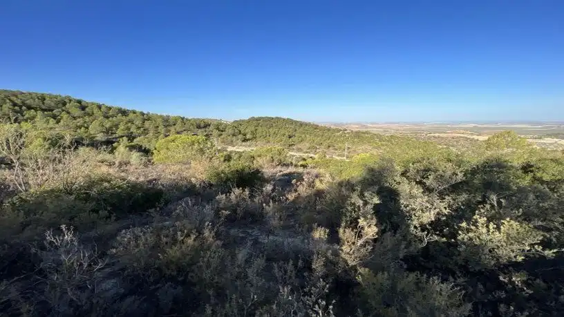 Finca rústica en venta en San Antonio O Guardarropa Pol 115.par 8,9 y 15, Osuna