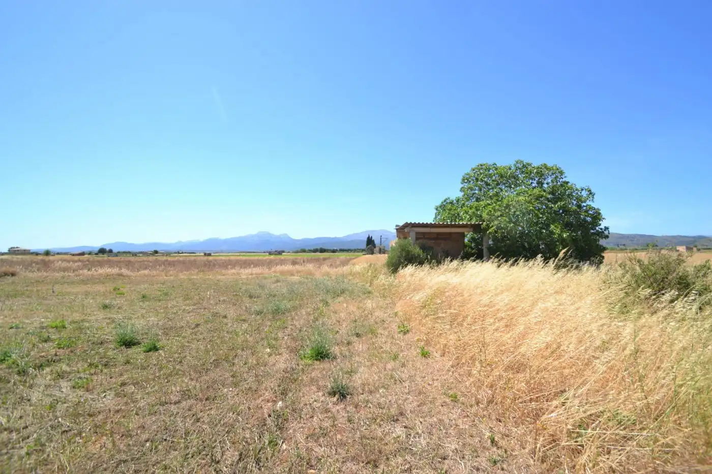 Casa rústica en venta en Muro, imagen 4
