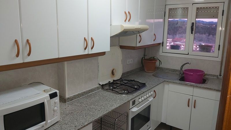 Kitchen of Flat to rent in Flix  with Terrace, Furnished and Oven