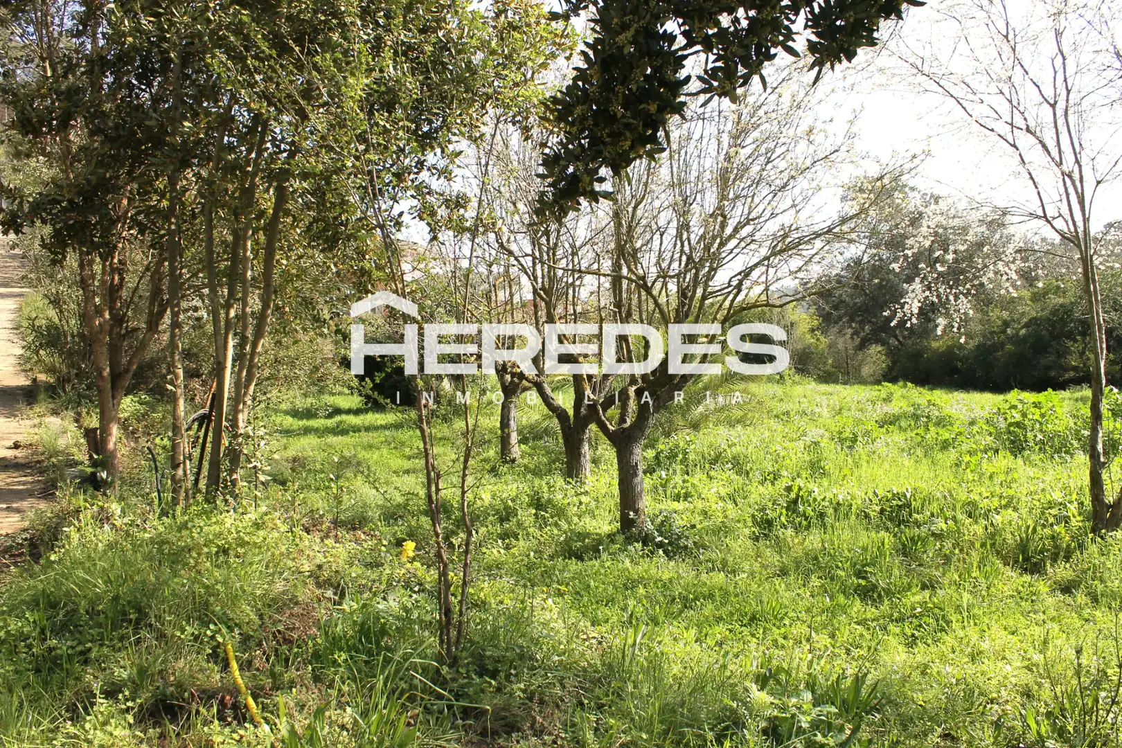 Casa con jardín en venta en Torrelles de Llobregat, imagen 8
