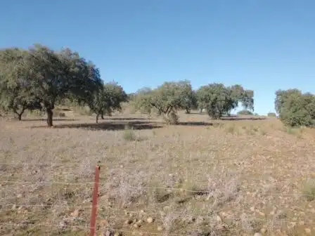 Residential land for sale in Fuente Obejuna, imagen 7