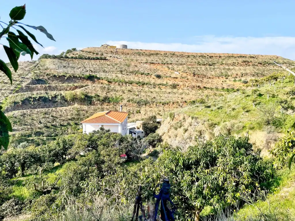 Casa rústica amb jardí en venda a Vélez-Málaga ciudad, imagen 2